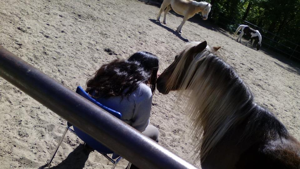 Coaching met behulp van paarden