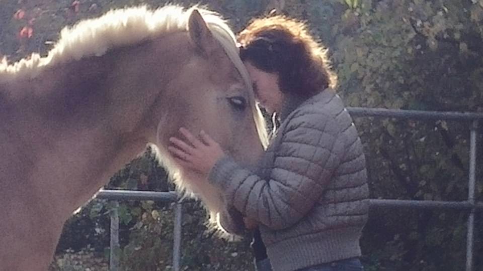 Coaching met behulp van paarden